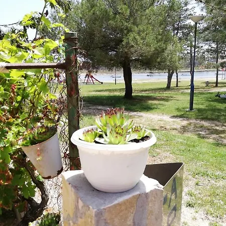 Snjezana Zadar